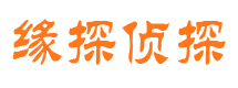 铁锋市场调查